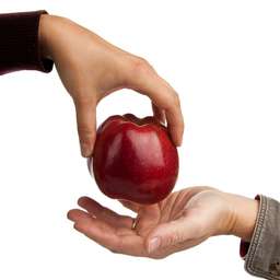 Phrase Image - Yes please.